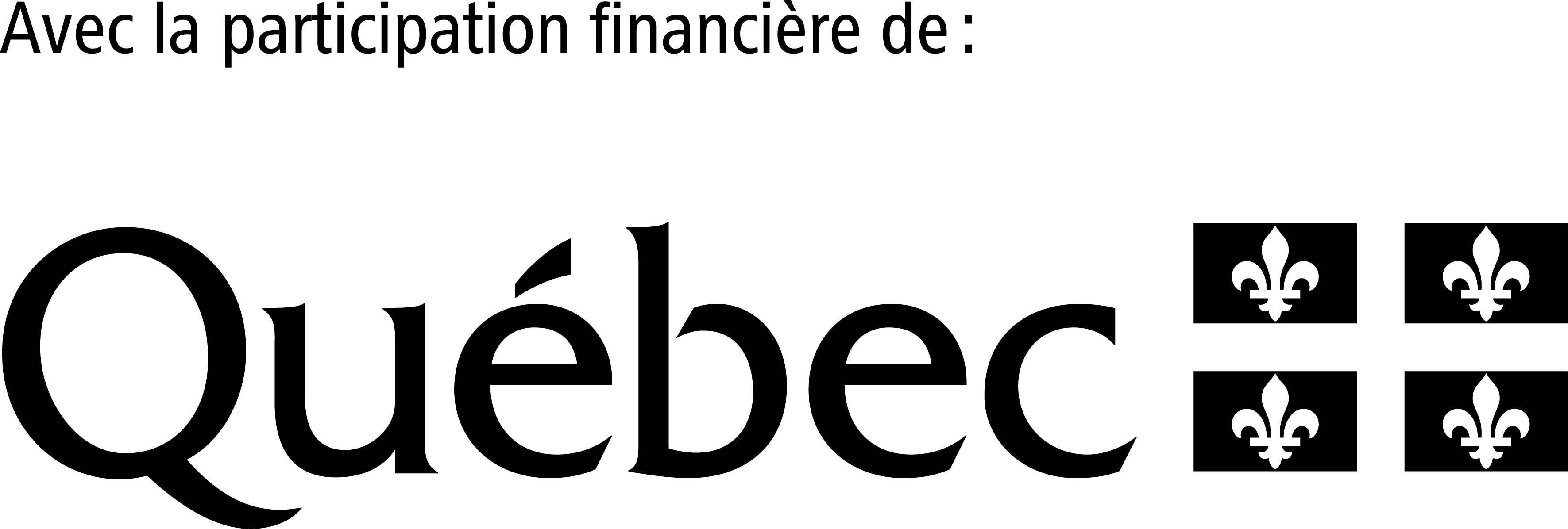 QuébecDrapeauNOIRAvecPartFinancDe (00000003)